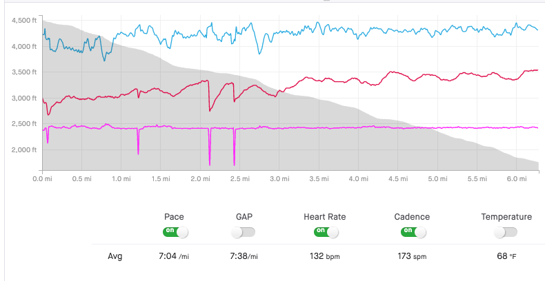 Elevation profile for Kaloko hill run